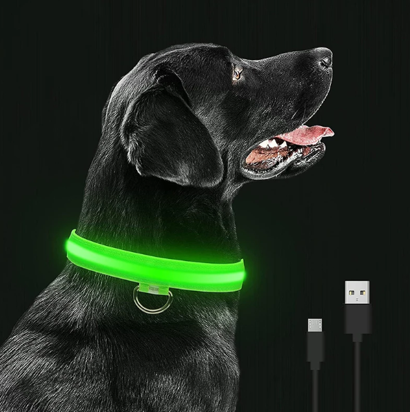 Coleira de LED para Pets